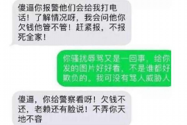 梅列为什么选择专业追讨公司来处理您的债务纠纷？